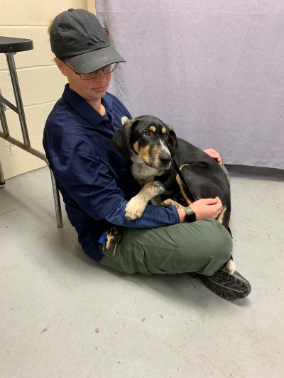 A Dothan Animal Shelter staffer with a dog in their lap